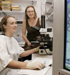 Professor Risbridger and PhD student