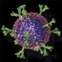 Immunology