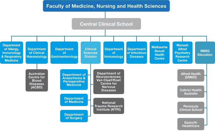 Coursework for medical school