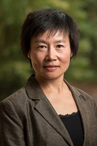 wei Wang