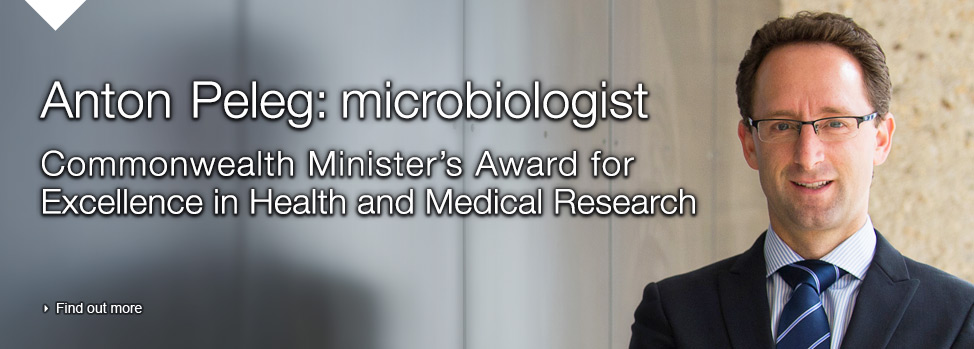 Anton Peleg: microbiologist, Find out more, 
http://www.med.monash.edu.au/sobs/news/2013/research-award.html