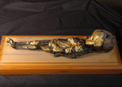 A small mummified boy, adorned with gold leaf