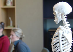 Skeleton at Gippsland