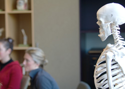 Medicine doubles its first preference as school leavers prefer Monash