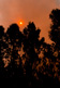 orange sun