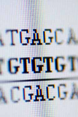 DNA Code