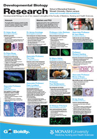 Developmental Biology Research Poster