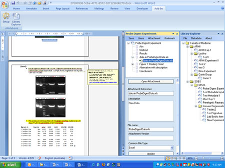 Screen capture from Microsoft Word 2007