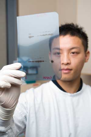 Students in Laboratory doing experiments