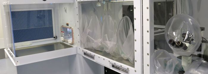 Cell therapies